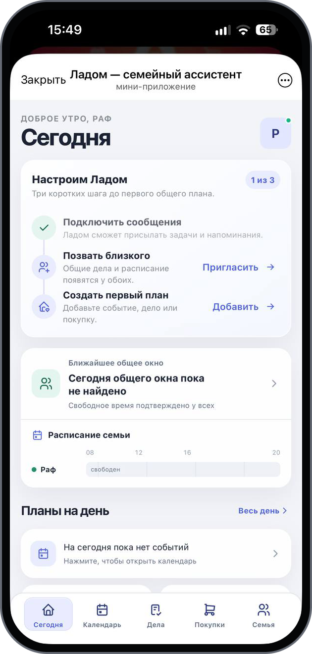 ЛАДОМ interface